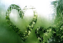 白鹿巷的叹息:当胜利之梦遭遇伤病阴霾