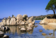 波尔多在主场力挫对手，实现连胜：绿茵传奇的再次崛起