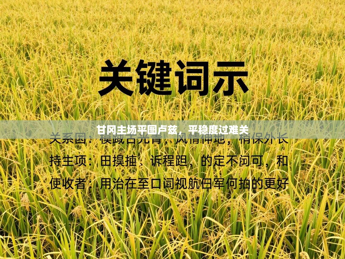 甘冈主场平图卢兹，平稳度过难关  第2张