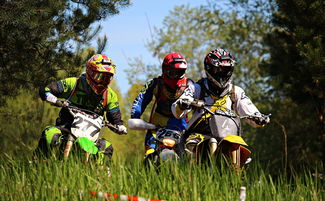 爱游戏app注册-印度队未来发展:从本土赛事到世界级竞技平台的蜕变,印度参赛人员 第3张